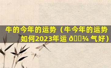 牛的今年的运势（牛今年的运势如何2023年运 🌾 气好）